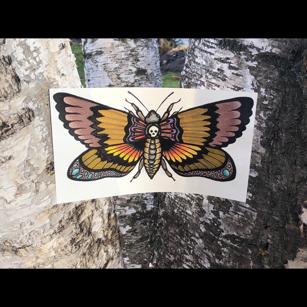 Original Artwork Skull Moth Watercolour Painting with Frame